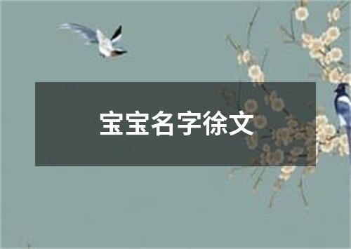 宝宝名字徐文