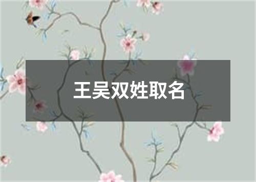 王吴双姓取名