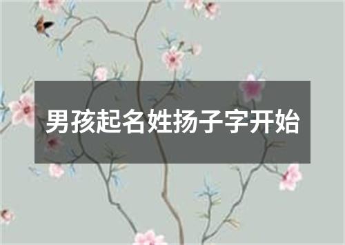 男孩起名姓扬子字开始