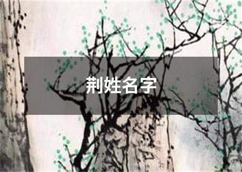 荆姓名字