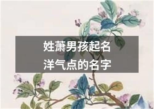 姓萧男孩起名洋气点的名字