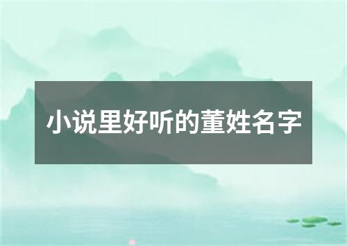 小说里好听的董姓名字