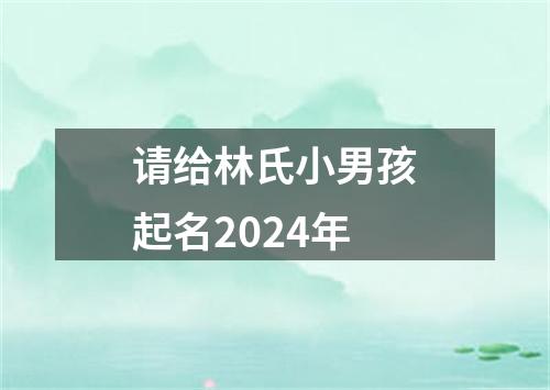 请给林氏小男孩起名2024年