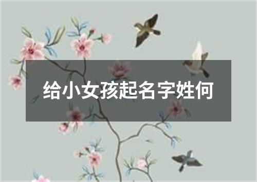 给小女孩起名字姓何