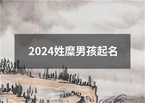 2024姓糜男孩起名