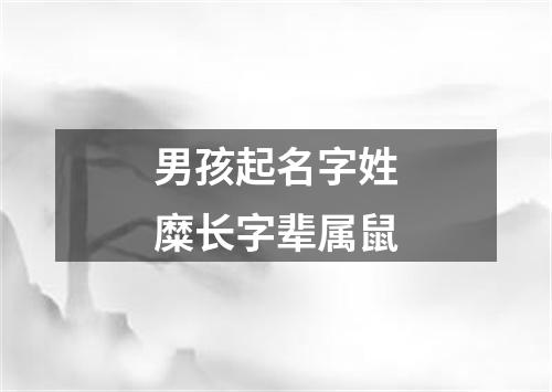 男孩起名字姓糜长字辈属鼠