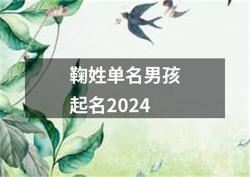 鞠姓单名男孩起名2024