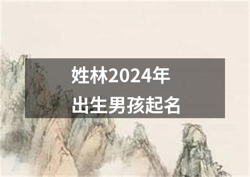 姓林2024年出生男孩起名