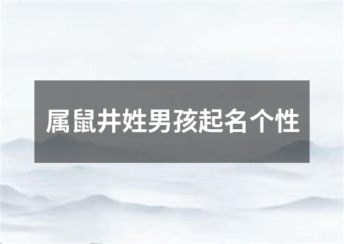 属鼠井姓男孩起名个性