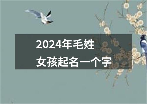 2024年毛姓女孩起名一个字