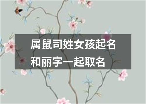 属鼠司姓女孩起名和丽字一起取名