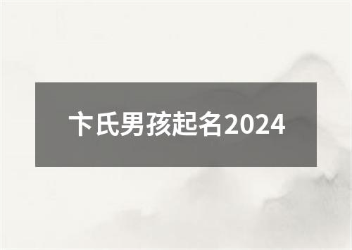 卞氏男孩起名2024