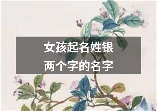 女孩起名姓银两个字的名字