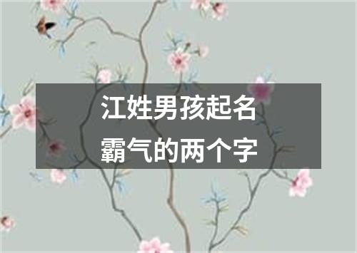 江姓男孩起名霸气的两个字