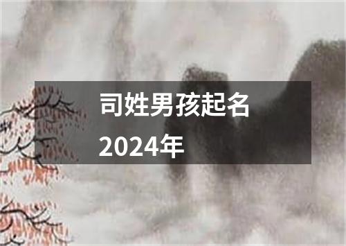 司姓男孩起名2024年