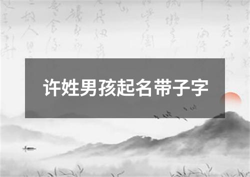 许姓男孩起名带子字