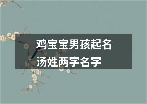 鸡宝宝男孩起名汤姓两字名字