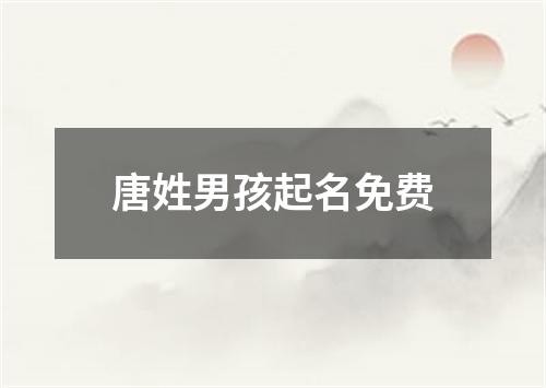 唐姓男孩起名免费