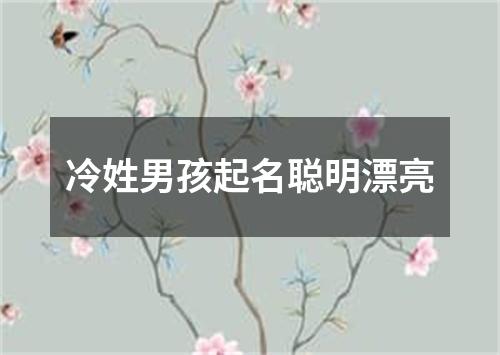 冷姓男孩起名聪明漂亮