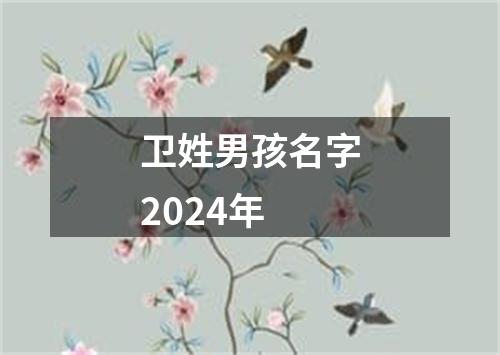 卫姓男孩名字2024年