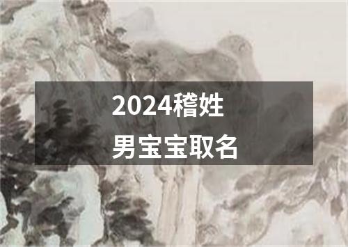 2024稽姓男宝宝取名