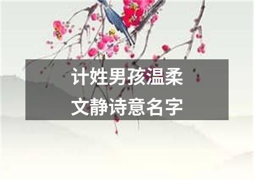 计姓男孩温柔文静诗意名字