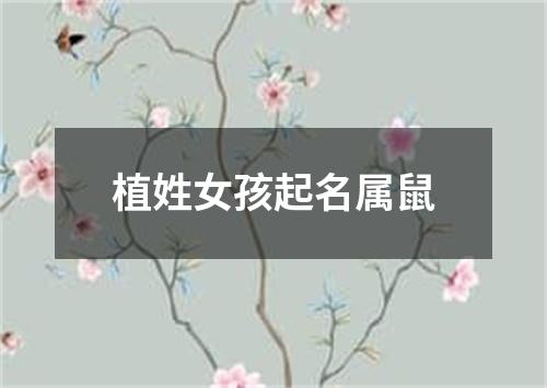 植姓女孩起名属鼠