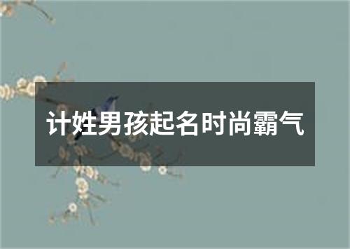 计姓男孩起名时尚霸气