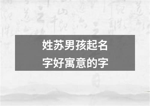 姓苏男孩起名字好寓意的字