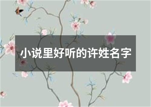 小说里好听的许姓名字