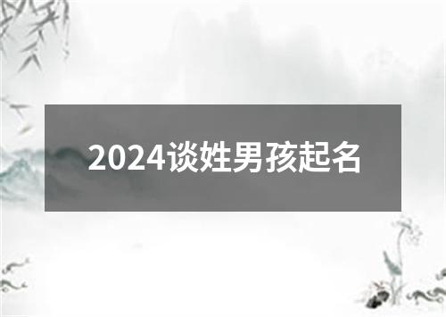 2024谈姓男孩起名