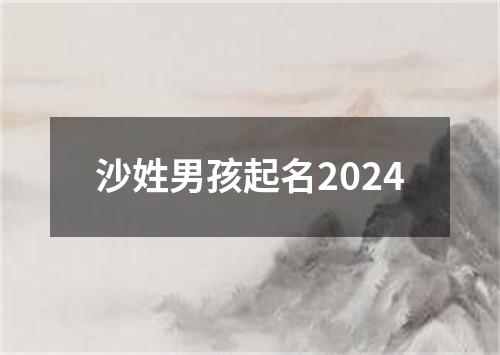 沙姓男孩起名2024