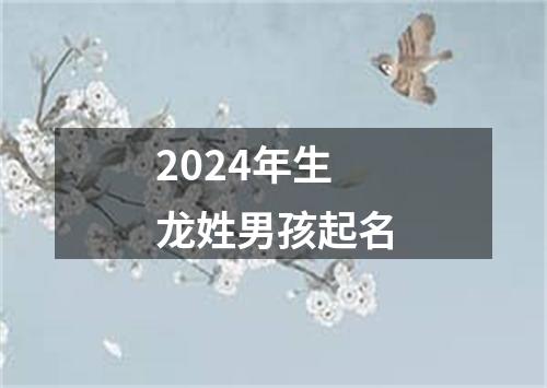 2024年生龙姓男孩起名