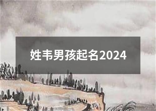 姓韦男孩起名2024