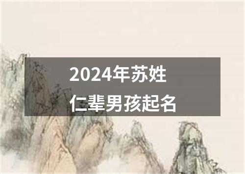 2024年苏姓仁辈男孩起名