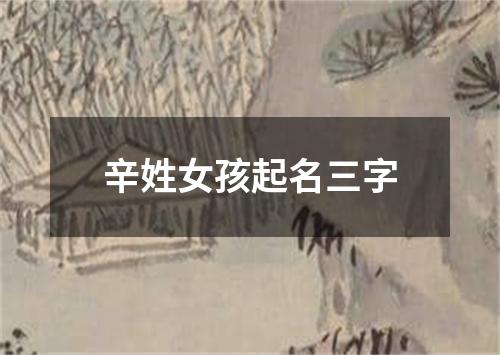 辛姓女孩起名三字