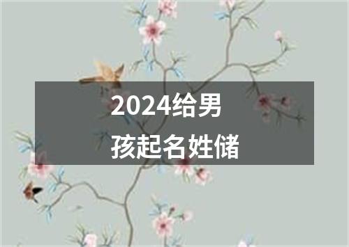 2024给男孩起名姓储