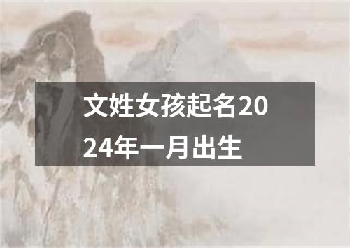 文姓女孩起名2024年一月出生