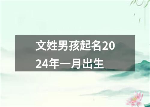 文姓男孩起名2024年一月出生