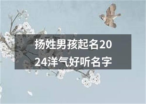 扬姓男孩起名2024洋气好听名字