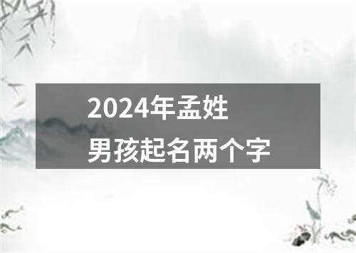 2024年孟姓男孩起名两个字