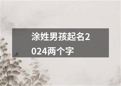 涂姓男孩起名2024两个字