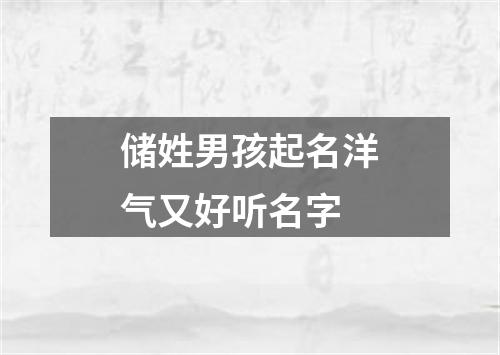 储姓男孩起名洋气又好听名字