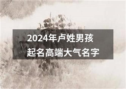 2024年卢姓男孩起名高端大气名字