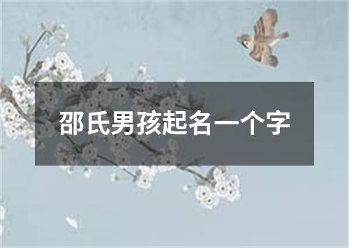 邵氏男孩起名一个字