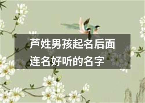 芦姓男孩起名后面连名好听的名字