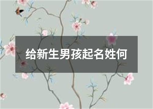 给新生男孩起名姓何