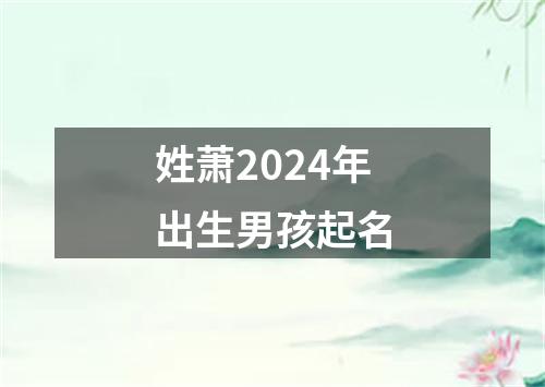 姓萧2024年出生男孩起名