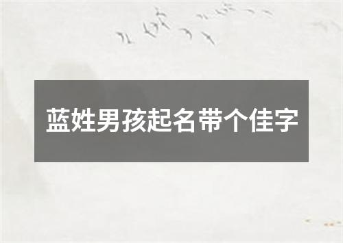 蓝姓男孩起名带个佳字