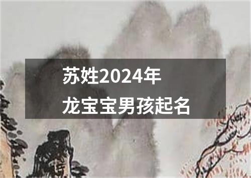 苏姓2024年龙宝宝男孩起名